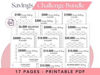 Savings Challenge Bundle